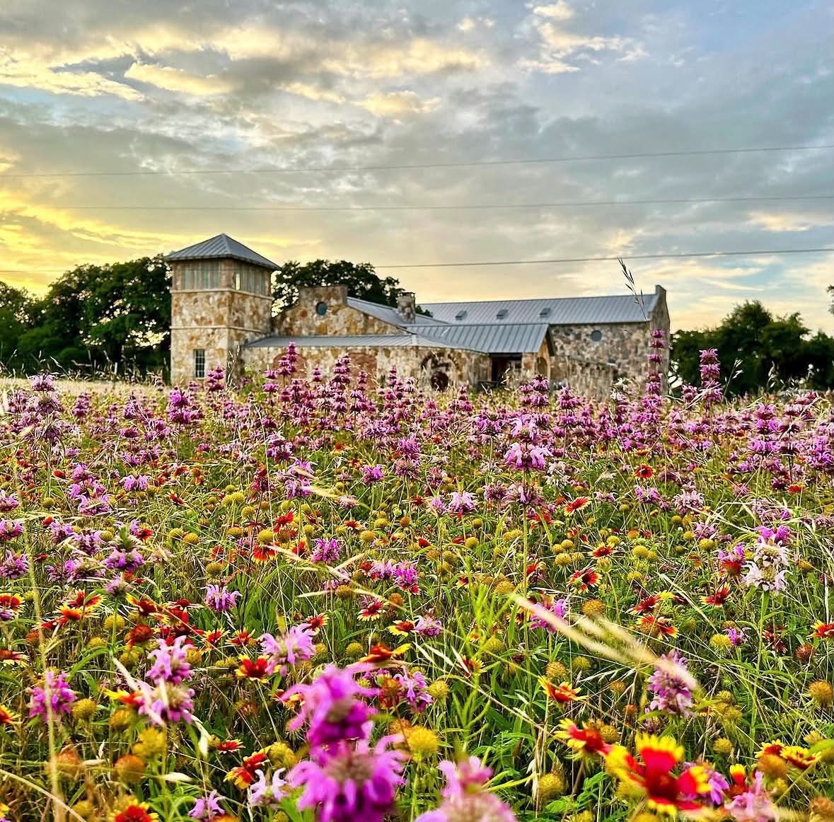 Wimberley Valley Winery